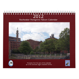 Calendrier 2012 de faucon pérégrin de Rochester