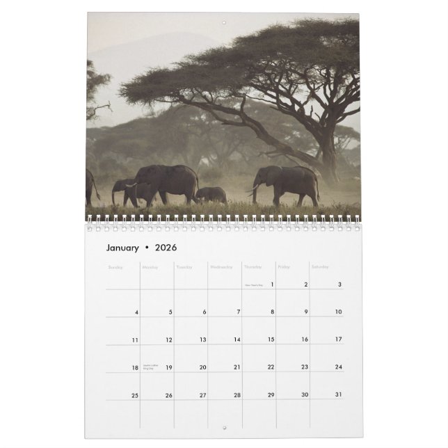 Calendrier 2012 de nature (Jan 2026)