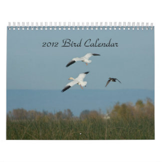CALENDRIER 2012 D'OISEAU