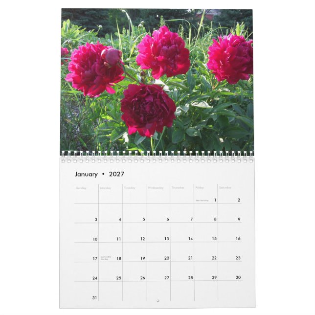 Calendrier 2012 floral de fleur de pivoines (Jan 2027)