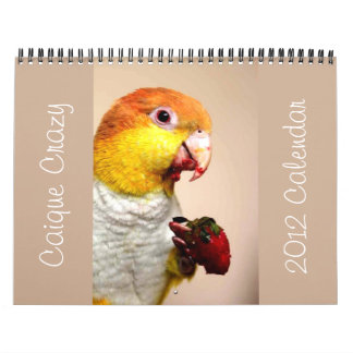 Calendrier 2012 fou de caïque