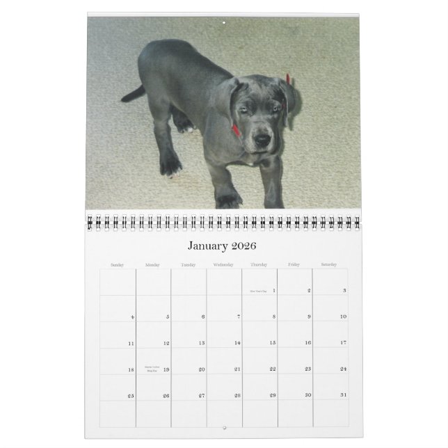 Calendrier 2012 van SundayStyle Edition (Jan 2026)