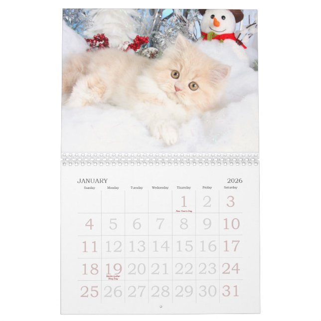 Calendrier 2013 (Jan 2026)