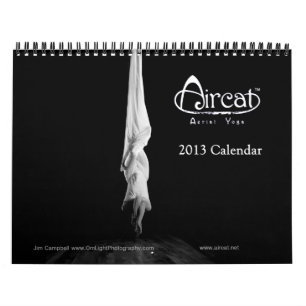 Calendrier 2013 aérien de yoga d'Aircat