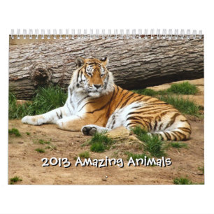 Calendrier 2013 Animaux Extraordinaires Animaux sauvages 12 m