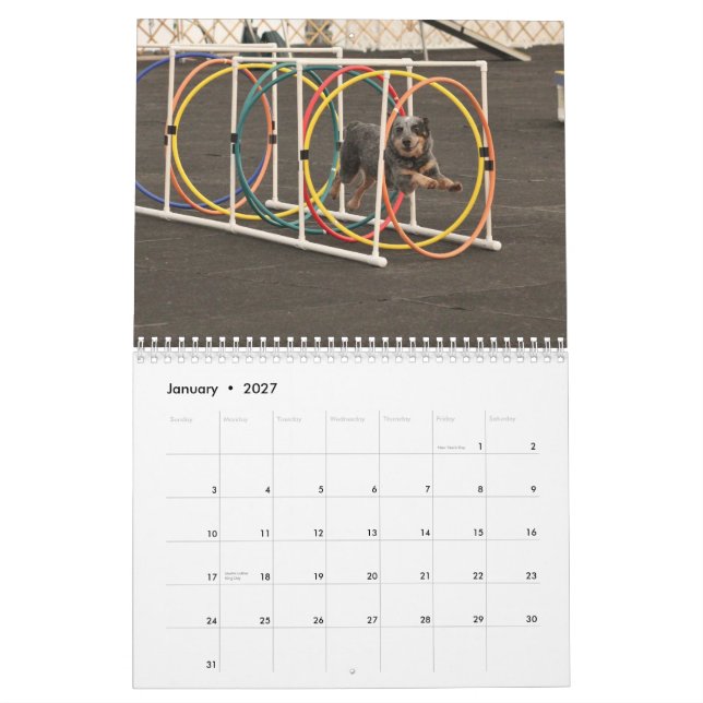 Calendrier 2013 chiens sur la course (Jan 2027)