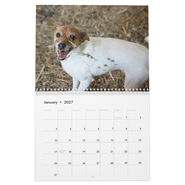 Calendrier 2013 d'Assoc de chasse à grange (Jan 2027)