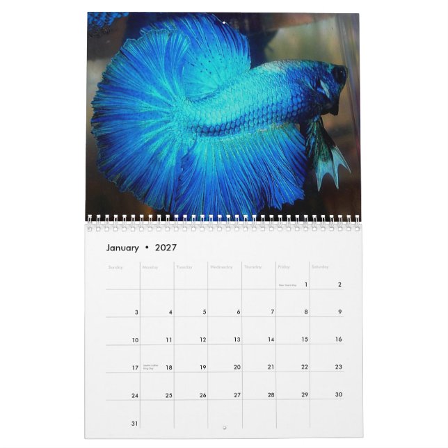 Calendrier 2013 de Betta de demi-lune par Mac (Jan 2027)
