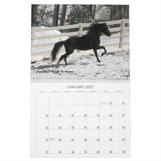 Calendrier 2013 de cheval de montagne (Jan 2027)