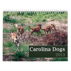 Calendrier 2013 de chien de la Caroline