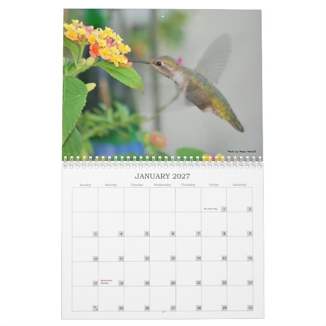 Calendrier 2013 de colibri (Jan 2027)