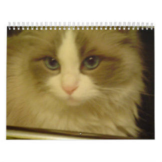 Calendrier 2013 de compte à rebours