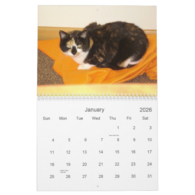 Calendrier 2013 de compte à rebours (Jan 2026)