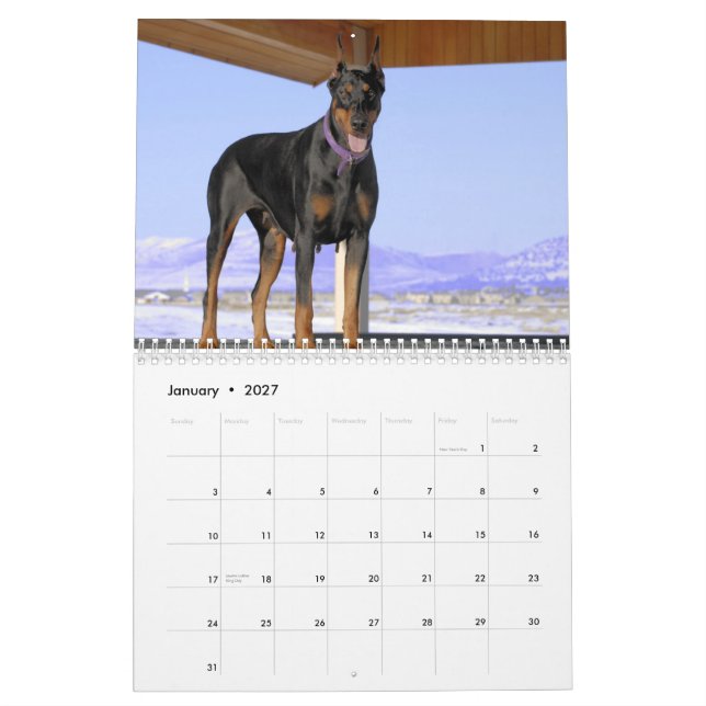 Calendrier 2013 de dobermann (Jan 2027)