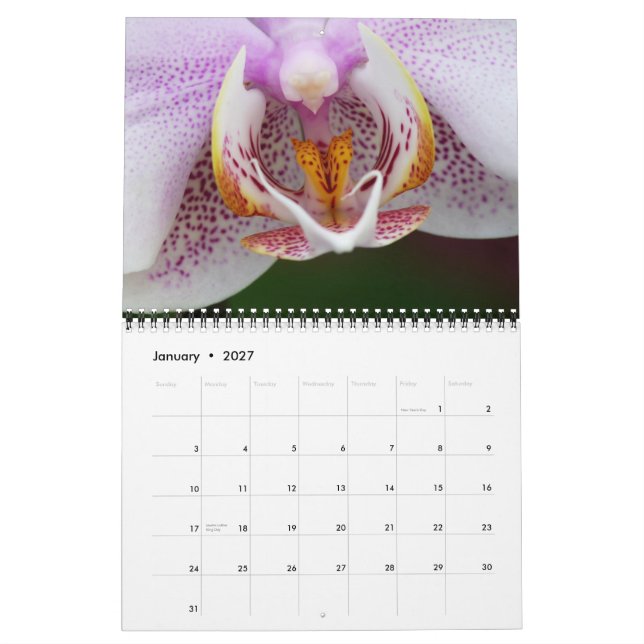 CALENDRIER 2013 DE FLORA PAR DES PHOTOS DE MAYES (Jan 2027)