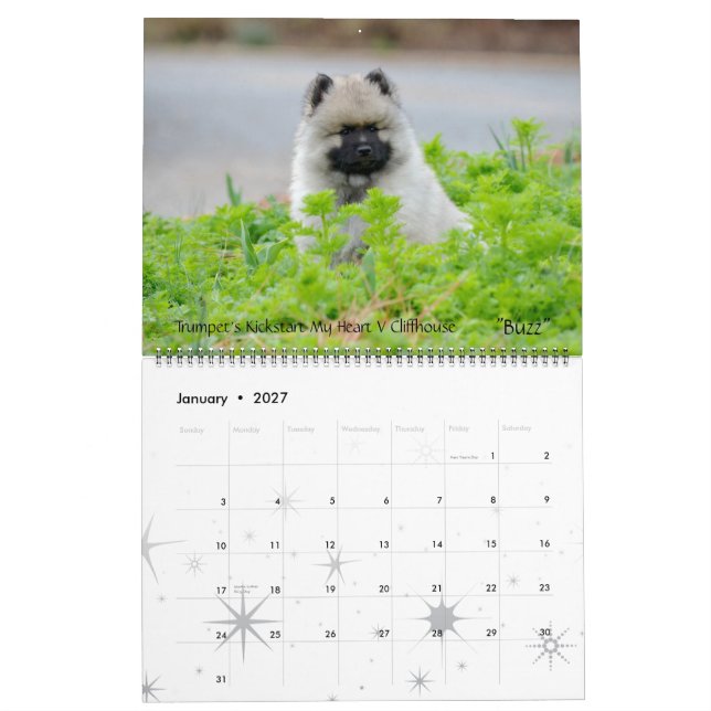 Calendrier 2013 de Keeshond de trompette mis à (Jan 2027)