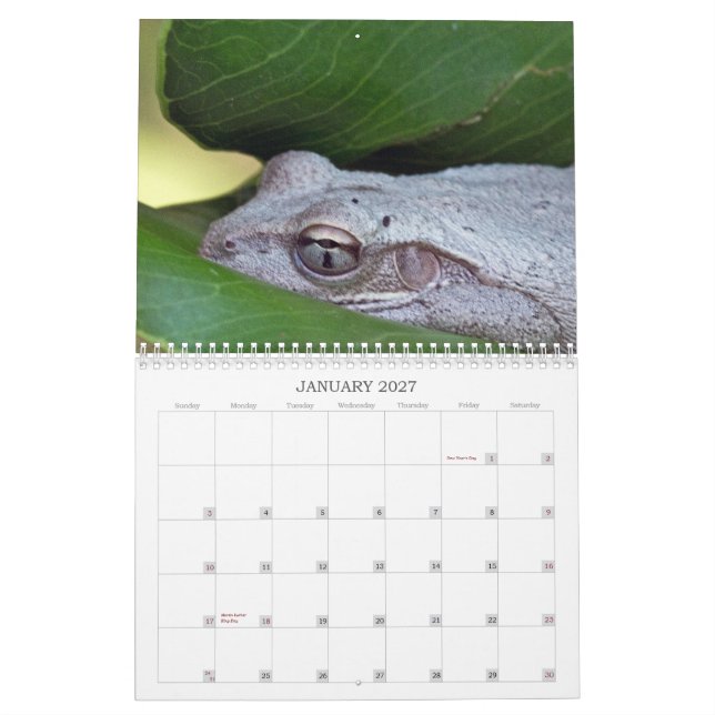 Calendrier 2013 de photo (Jan 2027)