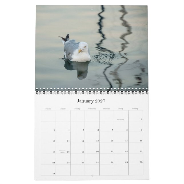 Calendrier 2013 de photographie (Jan 2027)