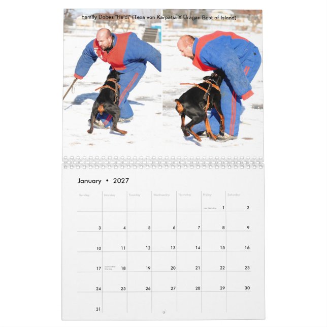 Calendrier 2013 de protection de Dobes de famille (Jan 2027)