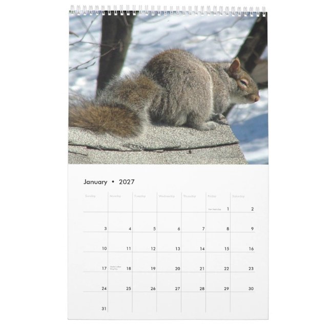 Calendrier 2013 d'écureuil (Jan 2027)
