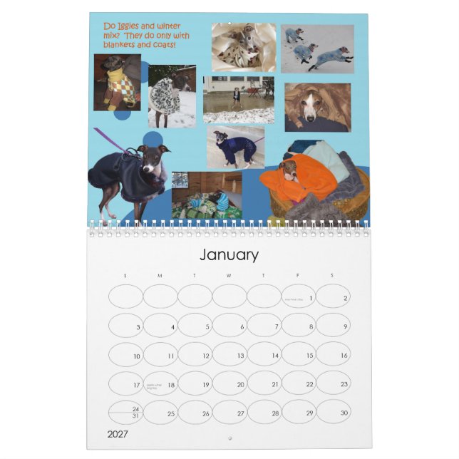 Calendrier 2013 du lévrier italien d'IGWhisper 2 (Jan 2027)