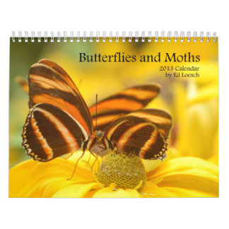 Calendrier 2013 - papillons et mites