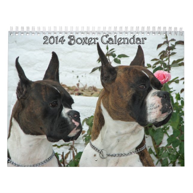 Calendrier 2014 de boxeur (Protection)
