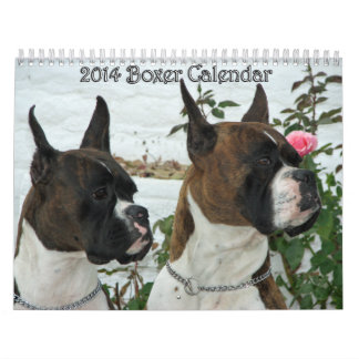 Calendrier 2014 de boxeur