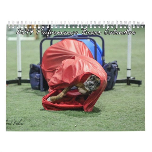Calendrier 2014 de boxeur de représentation (Protection)