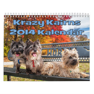 Calendrier 2014 de cairn