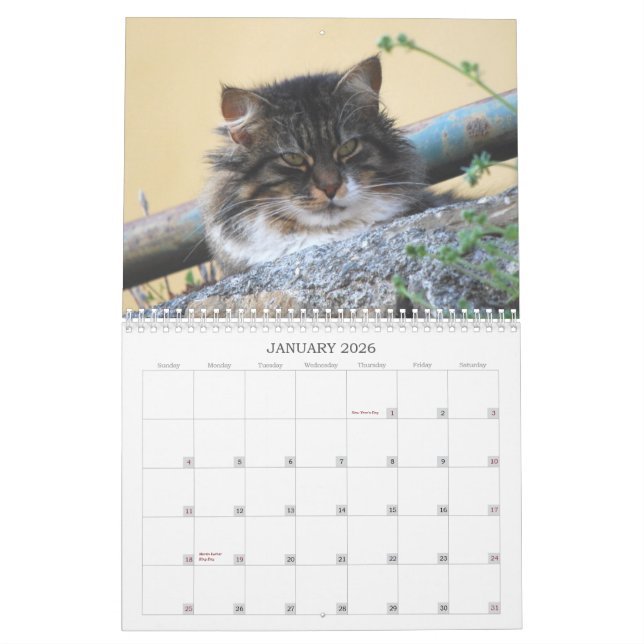 Calendrier 2014 de chat (Jan 2026)