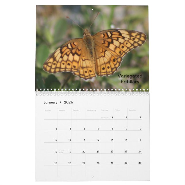 Calendrier 2014 de papillon (Jan 2026)