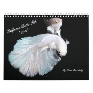 Calendrier 2014 de poissons de Betta de demi-lune