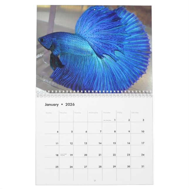 Calendrier 2014 de poissons de Betta de demi-lune (Jan 2026)