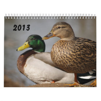 Calendrier 2014 de sportifs de canards de Mallard