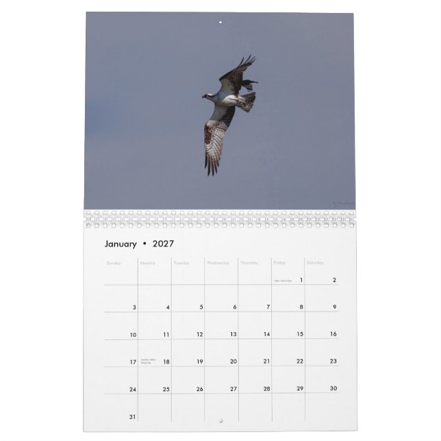 Calendrier 2014 rapaces Fort Collins le Colorado de (Jan 2027)