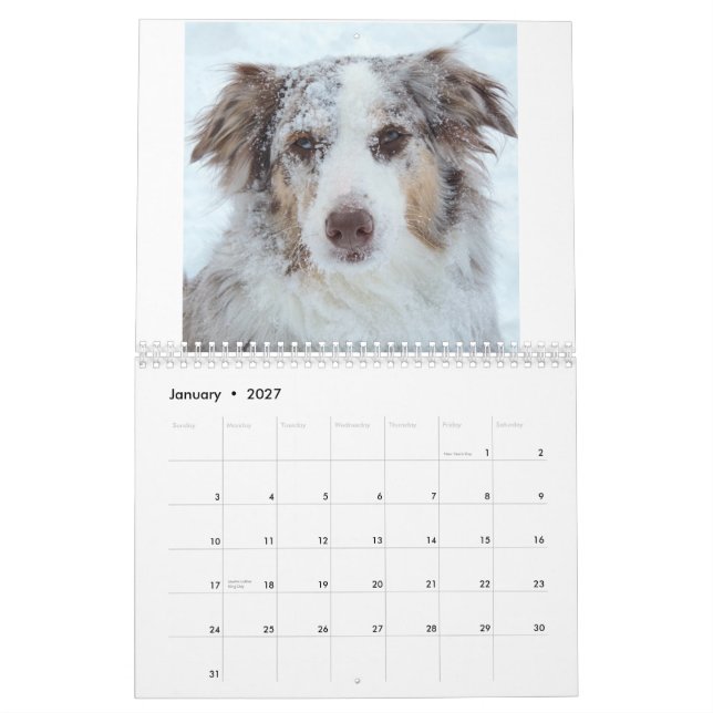 Calendrier 2015 de Bellatheaussie (Jan 2027)