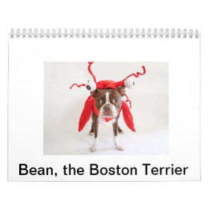 Calendrier 2015 de Boston Terrier