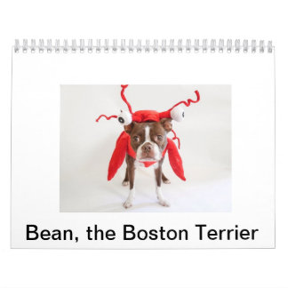 Calendrier 2015 de Boston Terrier