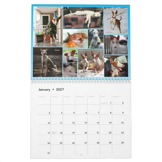 Calendrier 2015 de central de chien d'Ibizan (Jan 2027)