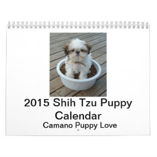 Calendrier 2015 de chiot de Shih Tzu