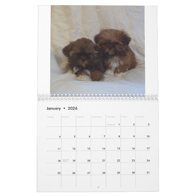 Calendrier 2015 de chiot de Shih Tzu (Jan 2026)