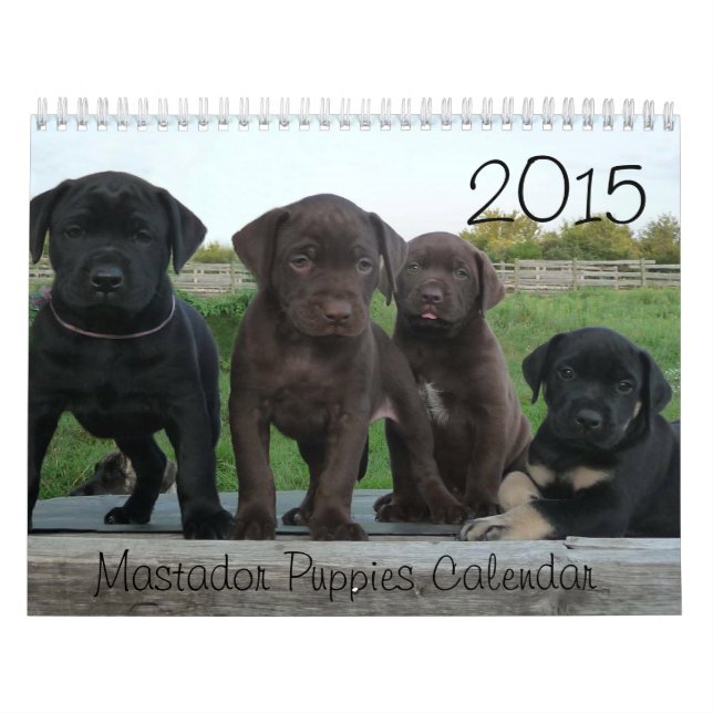 Calendrier 2015 de chiots de Mastador (Protection)