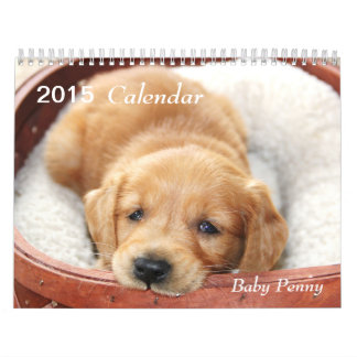 Calendrier 2015 de penny de bébé