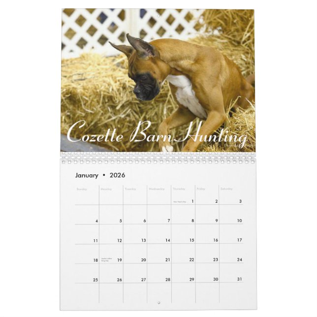 Calendrier 2015 de représentation de boxeur (Jan 2026)