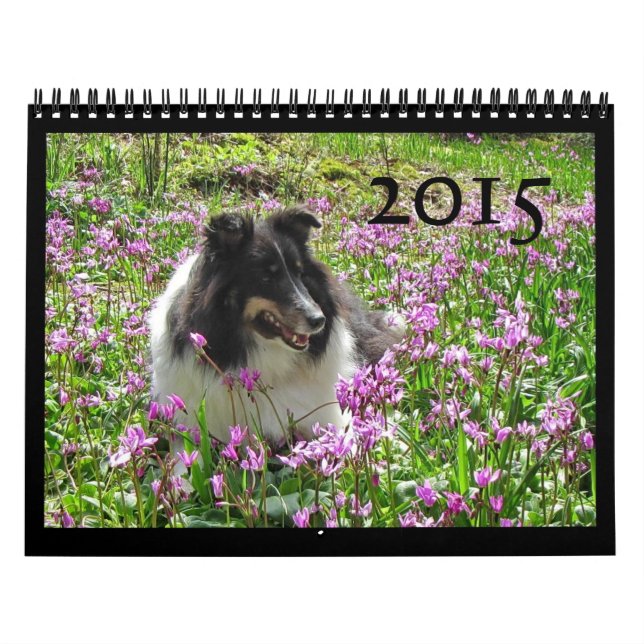 Calendrier 2015 de Sheltie (Protection)