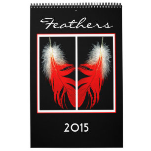 Calendrier 2015 des plumes d'oiseau