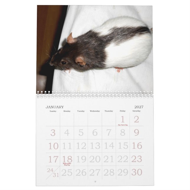 Calendrier 2015 du Rat Lover (Jan 2027)