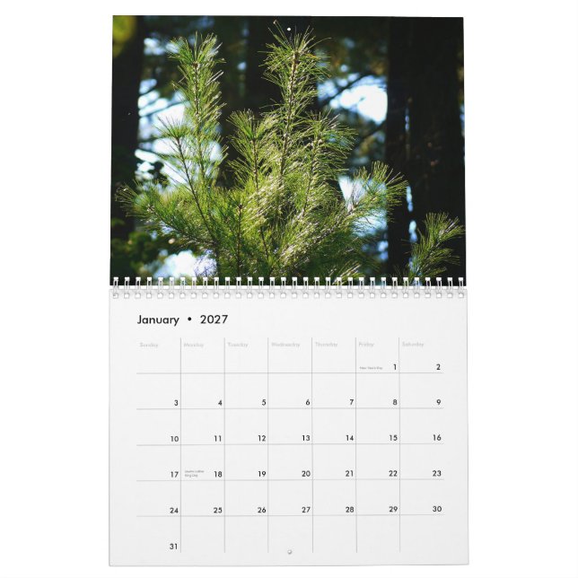 Calendrier 2015 la vie autour de nous (Jan 2027)