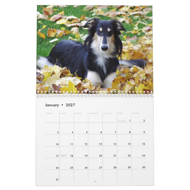 Calendrier 2015 Windhounds de soie (Jan 2027)